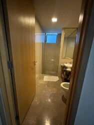 Cairnhill Crest (D9), Condominium #563589161